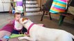 Funny And Cute Pitbull Dogs Love Babies Compilation 2015 [NEW]