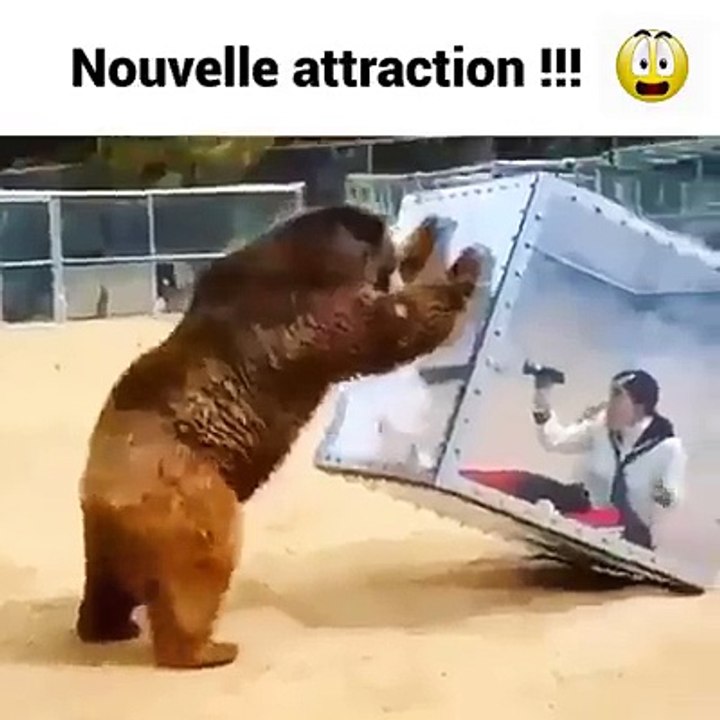 OMG