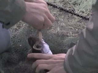 Pêche entre potes