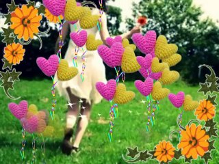 STONE & CHARDEN - Made in Normandie