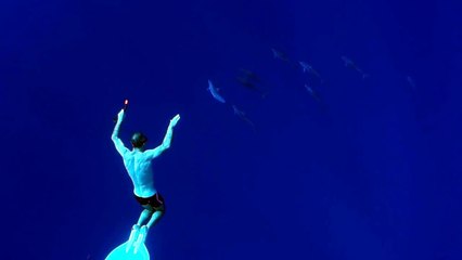 Jean et les dauphins ...