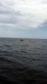 Derik Lattig Showing the Sea Orcas
