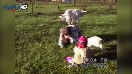 Funny Animals Videos : Animal Fail Compilation 2012