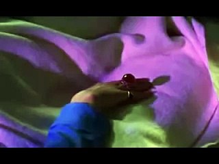 Beatles of the Caribbean 1 - The curse of the black pearl