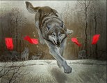 Охота на волка в Дегестане