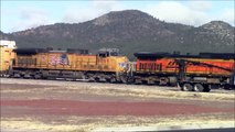 Norfolk Southern, Union Pacific, and Warbonnets at Williams! 3/27/14