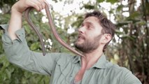 Giant Earthworm is Both Creepy and Captivating