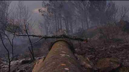 Los 4 incendios de la provincia de Valencia han quemado ya 2.809 hectáreas