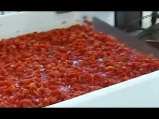 Foggia - Pizzo sul trasporto di pomodori, 6 arresti (17.06.16)