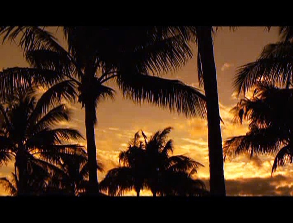 Intro - Welcome to MIA