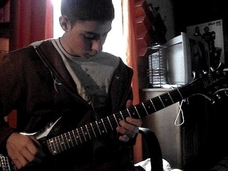 solo fallen leaves