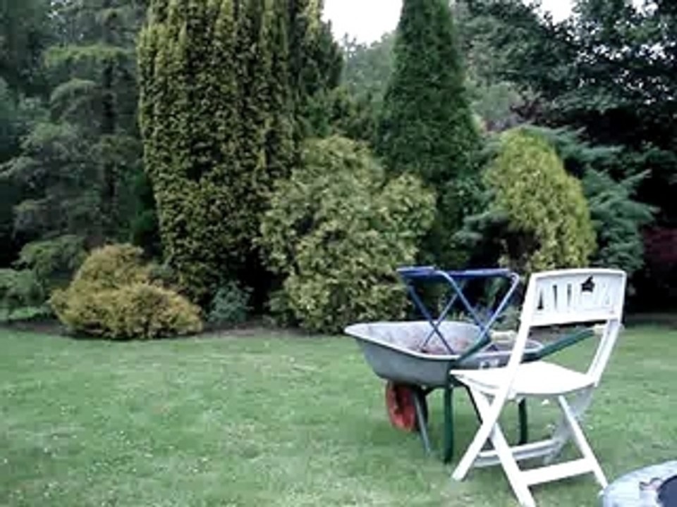 saut