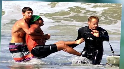 CES ANIMAUX QUI ONT SAUVE LES HUMAINS DE LA MORT