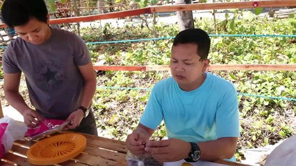 PBC Collections Cebu Summer Outing 2016