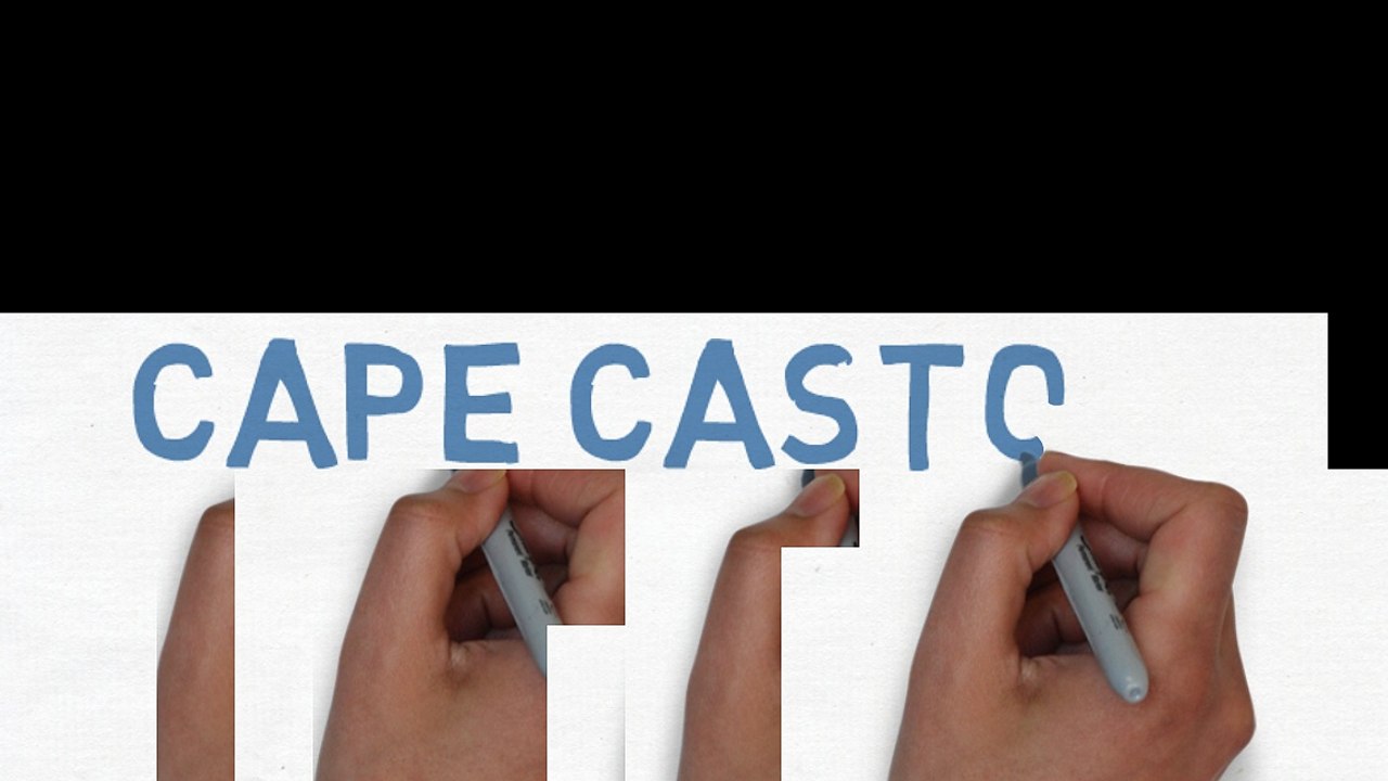 castors-cape-town