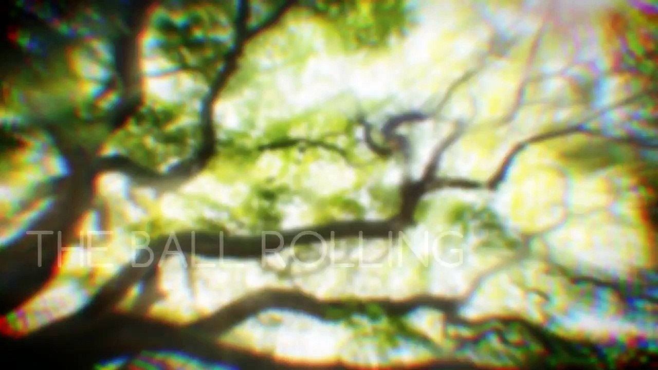 Help WoodMafia plant 10,000 trees in 2016