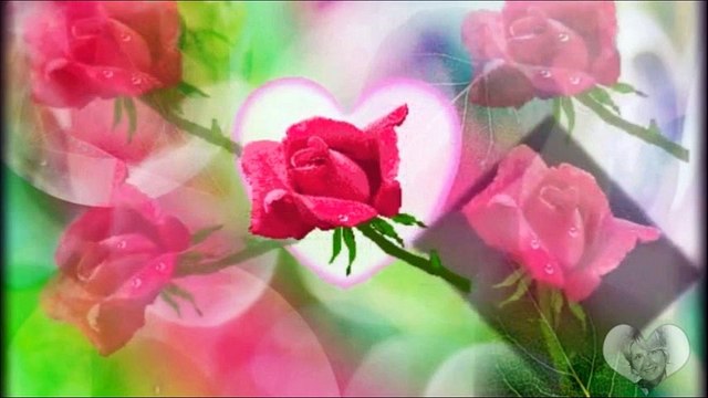 Dalibor Brun - Ženo,ženo