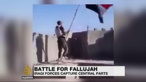 Iraqi army claims victory over ISIL in Fallujah