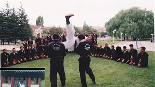 Hapkido kungfu 29