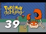 Pokémon Ash Gray: Episode 39 - The Pokémon League!