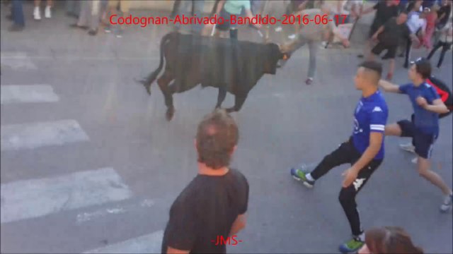 Codognan-Abrivado-Bandido-fete votive-2016/06/17