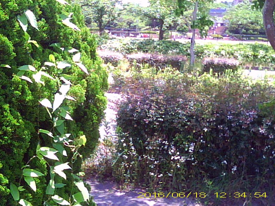 豪華な風景