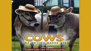 FREE DOWNLOAD  Cows Like Youve Never Seen  BOOK ONLINE