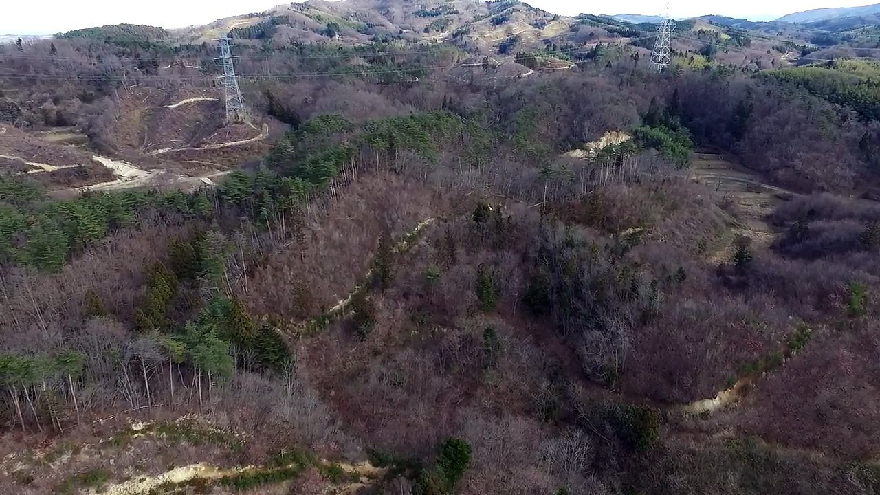 Tiger 丸森町-3 2015/12/26