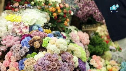 N (VIXX) e Wonkeun : Celeb Bros - Episódio 1 - Legendado ( PT / BR )