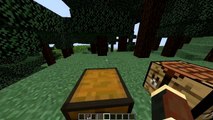 ENDER COMPASS MOD PARA MINECRAFT/1.9.4.-1.9 El mod que todos deseaban :v