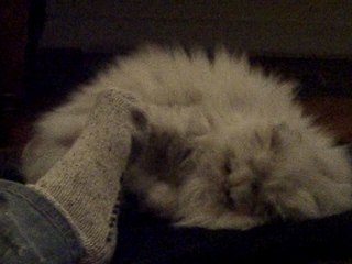 matila qui attaque (doucemnt) les pieds de maman