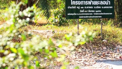 รายการ หมู่บ้านเข้มเเข็ง ตอนที่ 23 กองทุนหมู่บ้านวังรี สร้างอาชีพให้ผู้สูงอายุในชุมชน