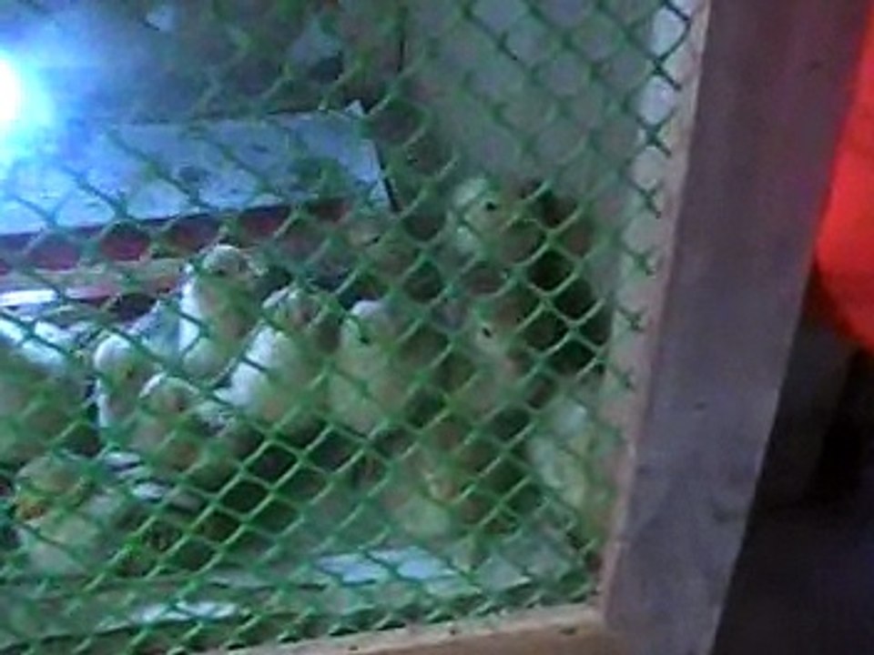 march 25 2009-bitawan,.-1/2