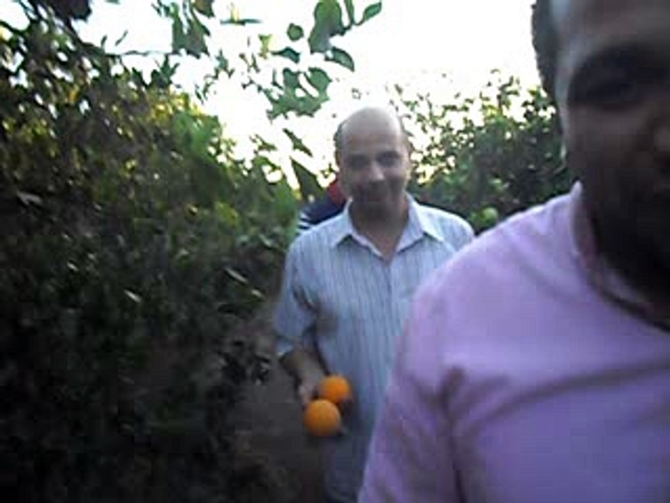 المعلمين فى حديقة موالح رجب الشبراوى 2016-#555-الخوجة