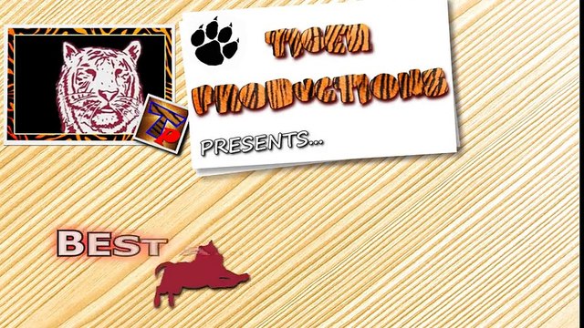 Animals are so funny that you can die of laughter - Funny animal compilation