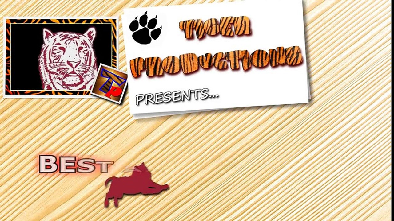 Animals are so funny that you can die of laughter - Funny animal compilation