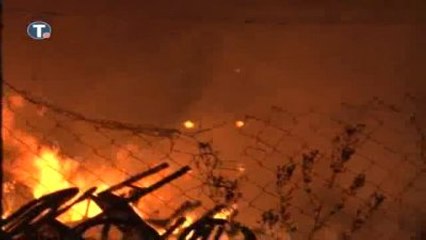 Sırbistan'da Oto Galeride Yangın... 70'ten Fazla Araç Yandı