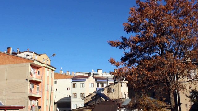 ALKIŞLAR - Farkındalık yaratma - Kısa Film