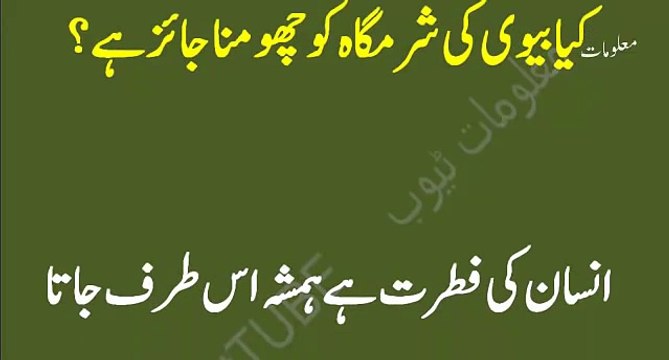 Kia Aurat ki sharmgah ko chumna jaiz hai ll کیا بیوی کی شرمگاہ کو چھومنا جائز ہے ؟