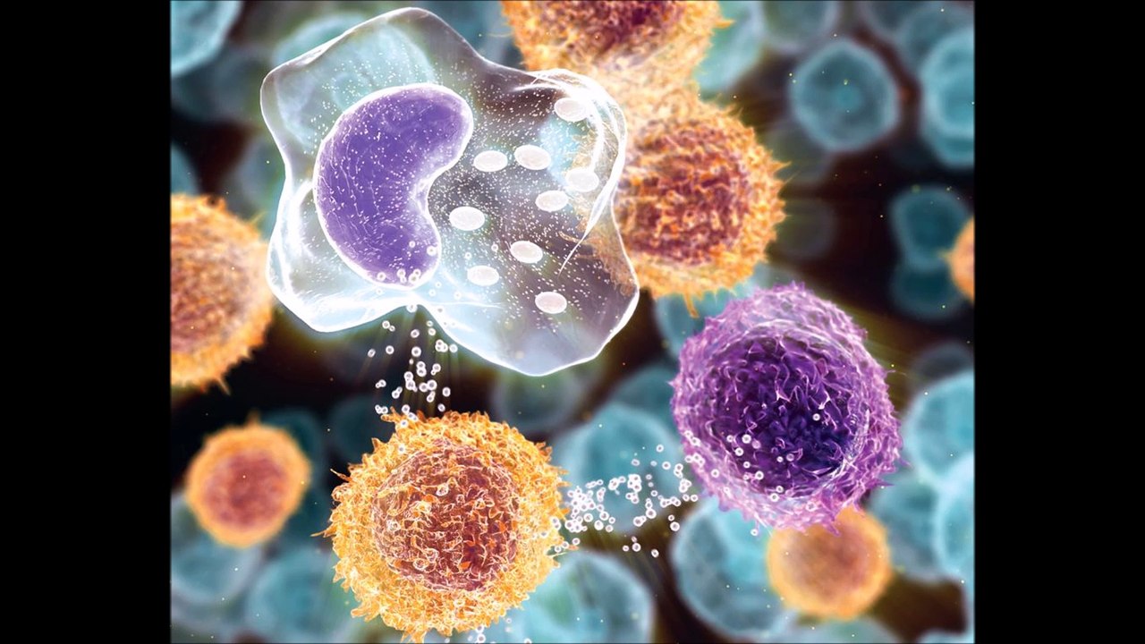 Cuadro clinico Hepatitis B