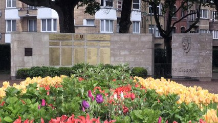 Fighting for Europe - Brexit seen by Belgium's WWII veterans