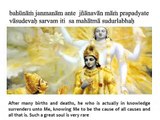 Bhagavad Gita Chapter 7 - Verse 19