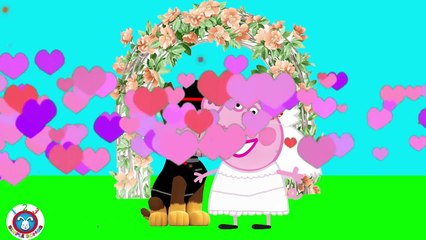Peppa Pig Love and Marriage Peppa Pig Paw Patrol Finger Family Nursery Rhymes La Patrulla Canina