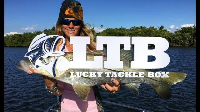 Fishing Inshore saltwater trolling tips & how to