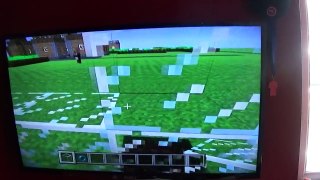 Minecraft glitches