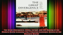 DOWNLOAD FREE Ebooks  The Great Divergence China Europe and the Making of the Modern World Economy The Full Ebook Online Free