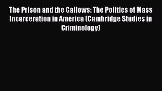 Read The Prison and the Gallows: The Politics of Mass Incarceration in America (Cambridge Studies
