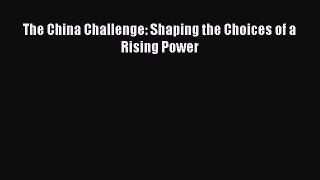 Read Book The China Challenge: Shaping the Choices of a Rising Power E-Book Free