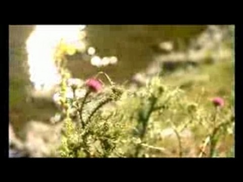 Najoua Belyzel - «Quand revient l'été»