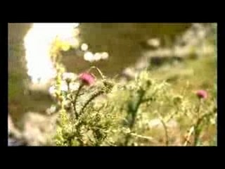 Najoua Belyzel - «Quand revient l'été»